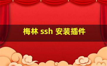 梅林 ssh 安装插件